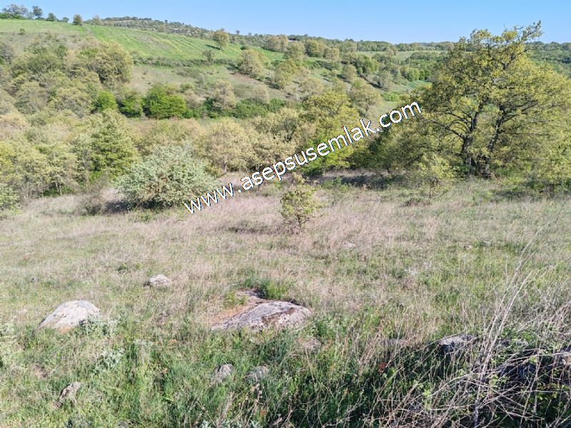 10.918 M2 Yatırımlık Tarla Arıcılık, Hayvancılık Orman'a Cepheli