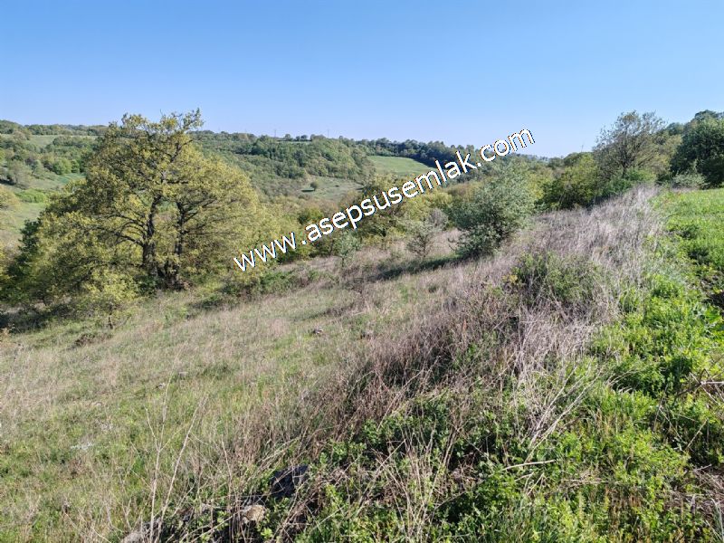 10.918 M2 Yatırımlık Tarla Arıcılık, Hayvancılık Orman'a Cepheli