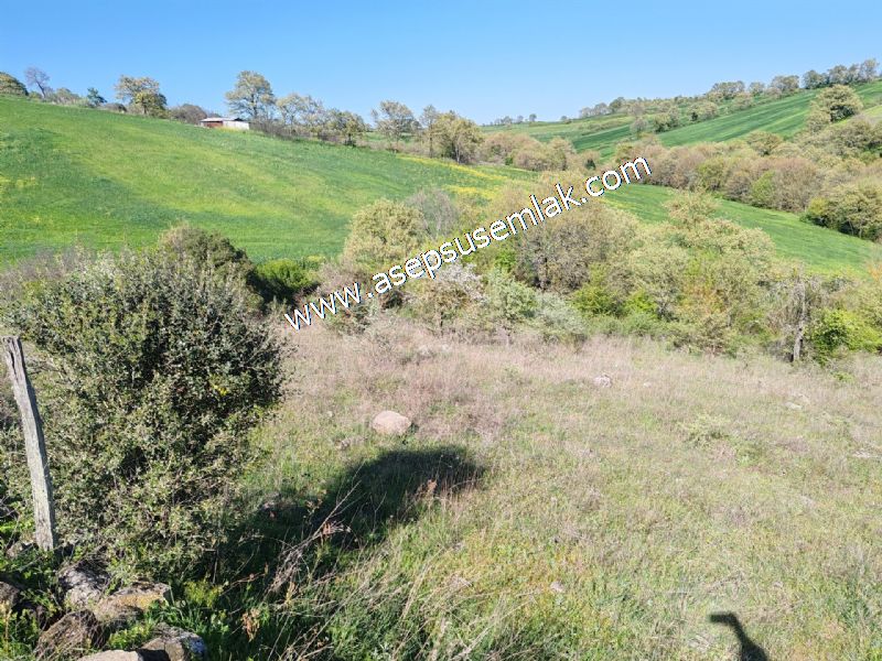 10.918 M2 Yatırımlık Tarla Arıcılık, Hayvancılık Orman'a Cepheli