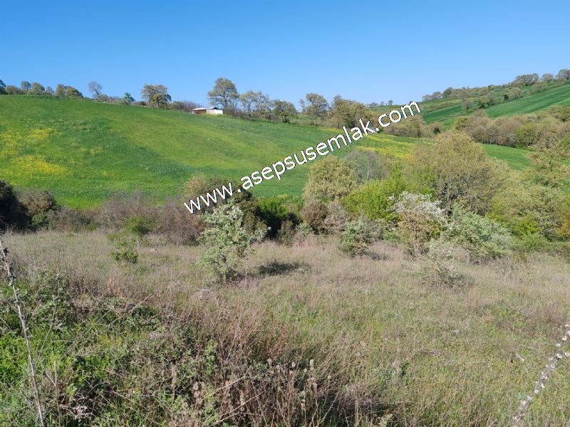 10.918 M2 Yatırımlık Tarla Arıcılık, Hayvancılık Orman'a Cepheli