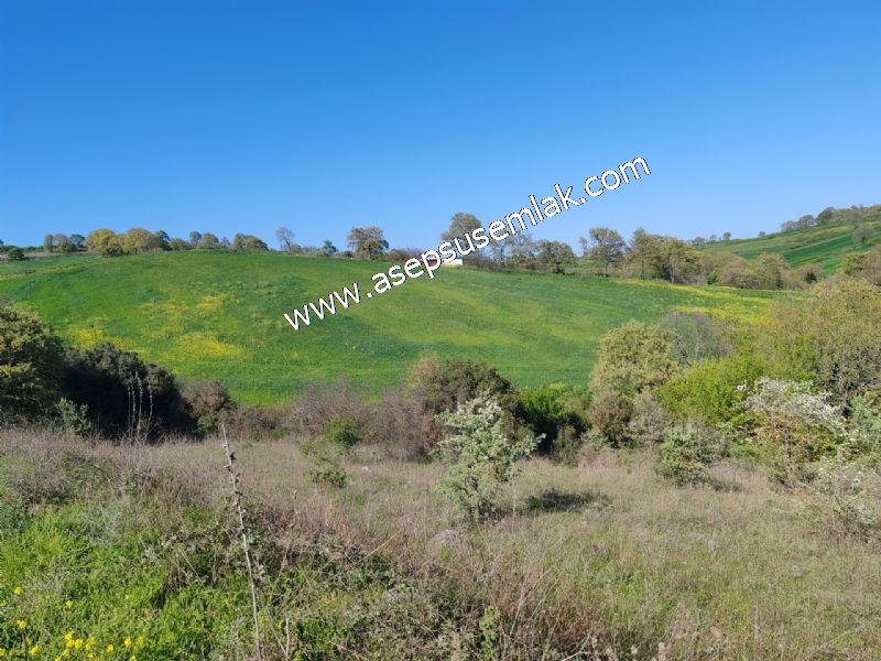 10.918 M2 Yatırımlık Tarla Arıcılık, Hayvancılık Orman'a Cepheli