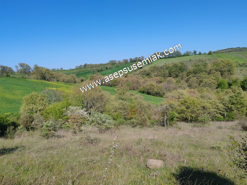 10.918 M2 Yatırımlık Tarla Arıcılık, Hayvancılık Orman'a Cepheli