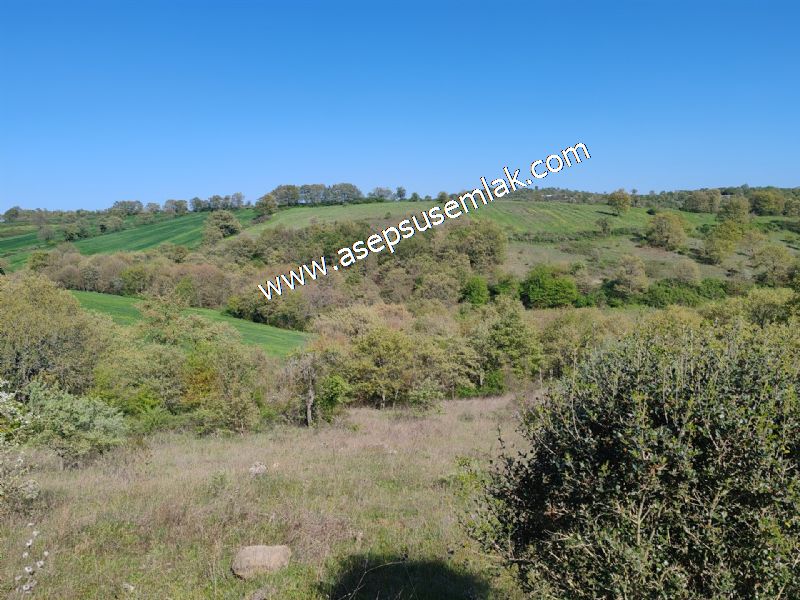 10.918 M2 Yatırımlık Tarla Arıcılık, Hayvancılık Orman'a Cepheli