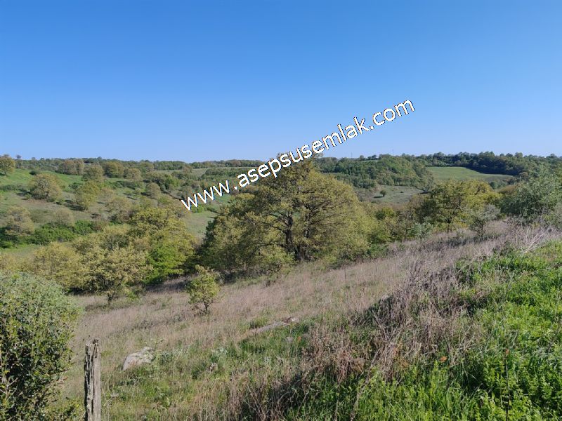 10.918 M2 Yatırımlık Tarla Arıcılık, Hayvancılık Orman'a Cepheli