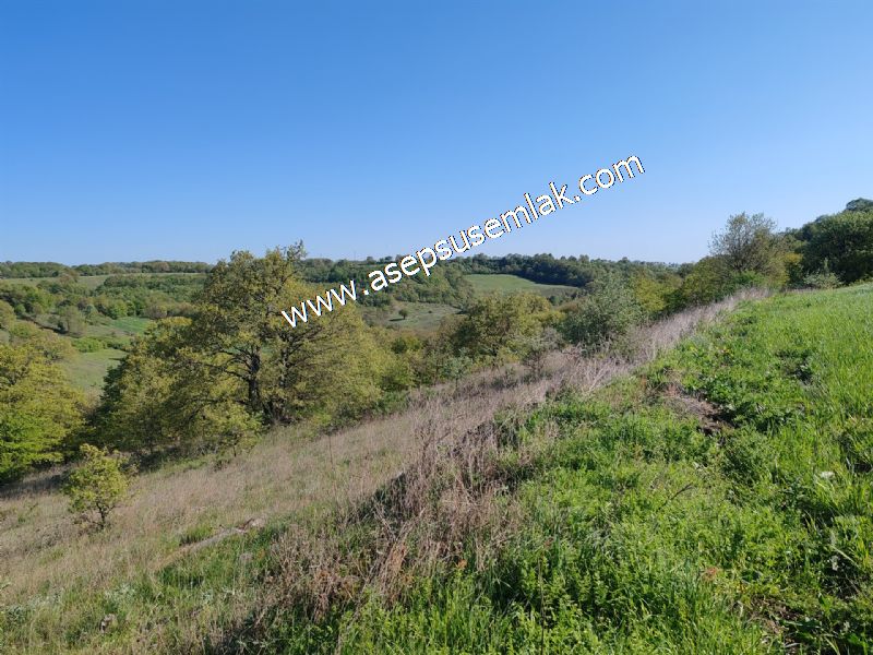 10.918 M2 Yatırımlık Tarla Arıcılık, Hayvancılık Orman'a Cepheli