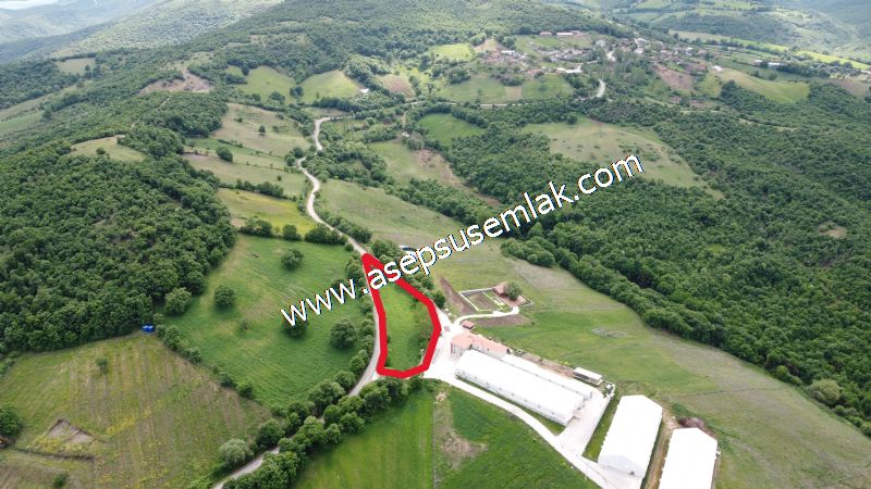 2.100 M2 Yatırımlık Meyva & Hobi Bahçesi Her Tarafı Resmi Yolu