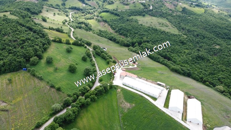 2.100 M2 Yatırımlık Meyva & Hobi Bahçesi Her Tarafı Resmi Yolu