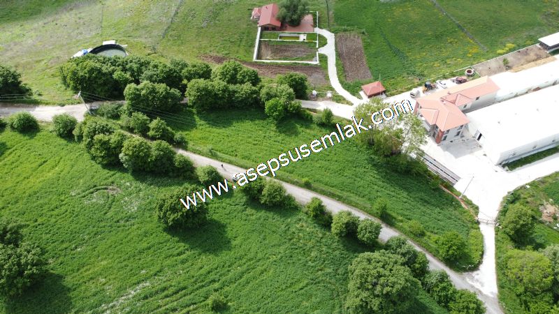 2.100 M2 Yatırımlık Meyva & Hobi Bahçesi Her Tarafı Resmi Yolu