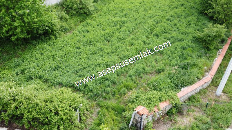 2.100 M2 Yatırımlık Meyva & Hobi Bahçesi Her Tarafı Resmi Yolu