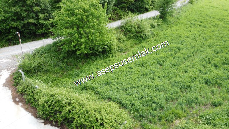 2.100 M2 Yatırımlık Meyva & Hobi Bahçesi Her Tarafı Resmi Yolu