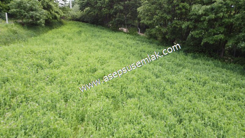 2.100 M2 Yatırımlık Meyva & Hobi Bahçesi Her Tarafı Resmi Yolu