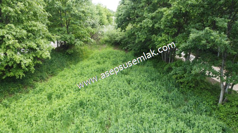 2.100 M2 Yatırımlık Meyva & Hobi Bahçesi Her Tarafı Resmi Yolu