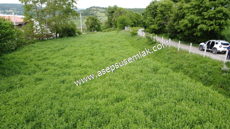 2.100 M2 Yatırımlık Meyva & Hobi Bahçesi Her Tarafı Resmi Yolu