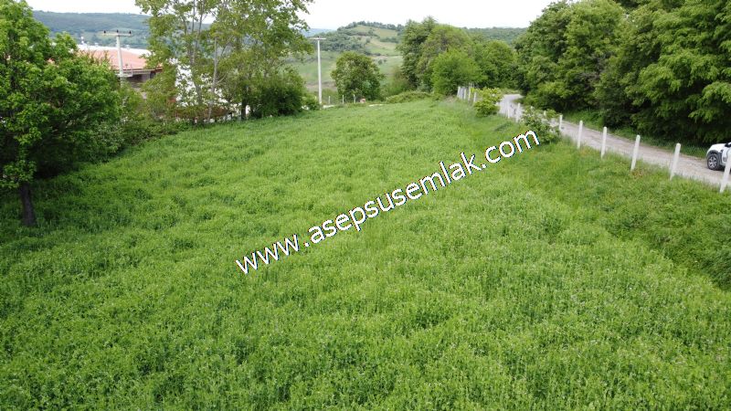 2.100 M2 Yatırımlık Meyva & Hobi Bahçesi Her Tarafı Resmi Yolu