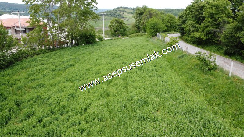 2.100 M2 Yatırımlık Meyva & Hobi Bahçesi Her Tarafı Resmi Yolu