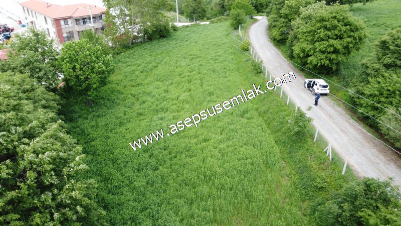 2.100 M2 Yatırımlık Meyva & Hobi Bahçesi Her Tarafı Resmi Yolu
