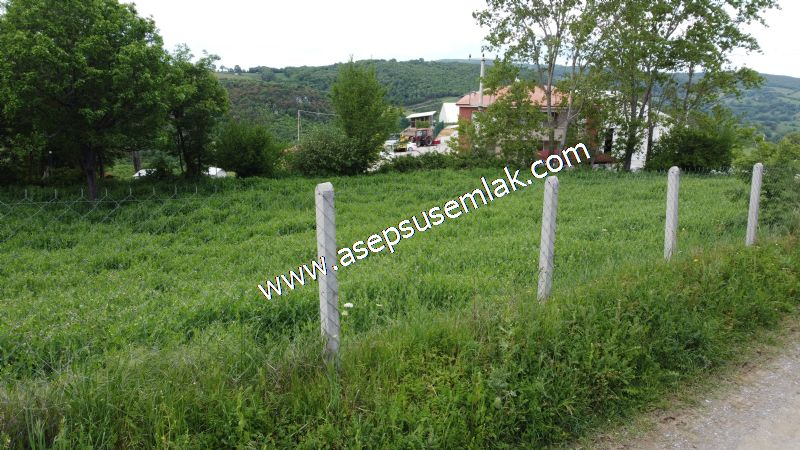 2.100 M2 Yatırımlık Meyva & Hobi Bahçesi Her Tarafı Resmi Yolu