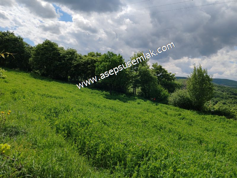 2.100 M2 Yatırımlık Meyva & Hobi Bahçesi Her Tarafı Resmi Yolu