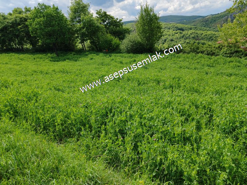 2.100 M2 Yatırımlık Meyva & Hobi Bahçesi Her Tarafı Resmi Yolu