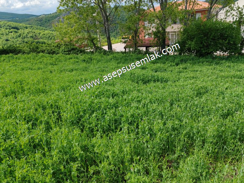 2.100 M2 Yatırımlık Meyva & Hobi Bahçesi Her Tarafı Resmi Yolu