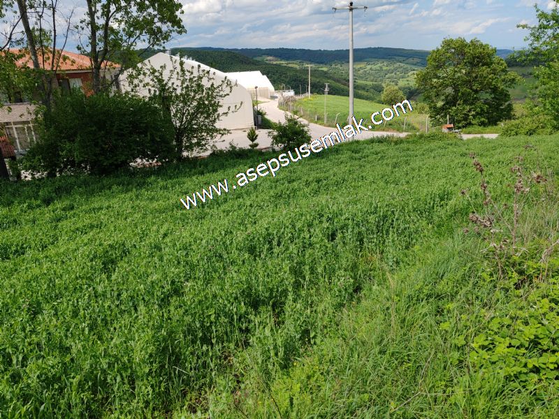 2.100 M2 Yatırımlık Meyva & Hobi Bahçesi Her Tarafı Resmi Yolu