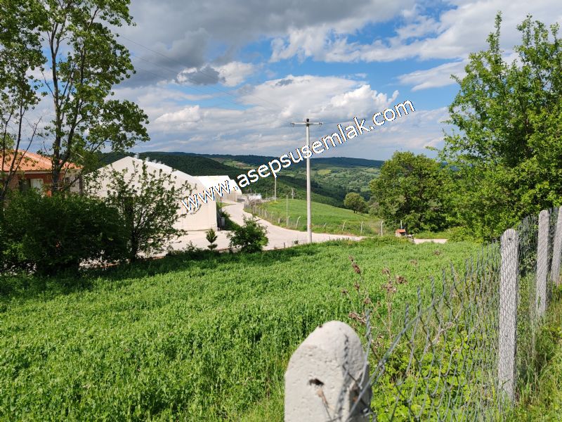 2.100 M2 Yatırımlık Meyva & Hobi Bahçesi Her Tarafı Resmi Yolu