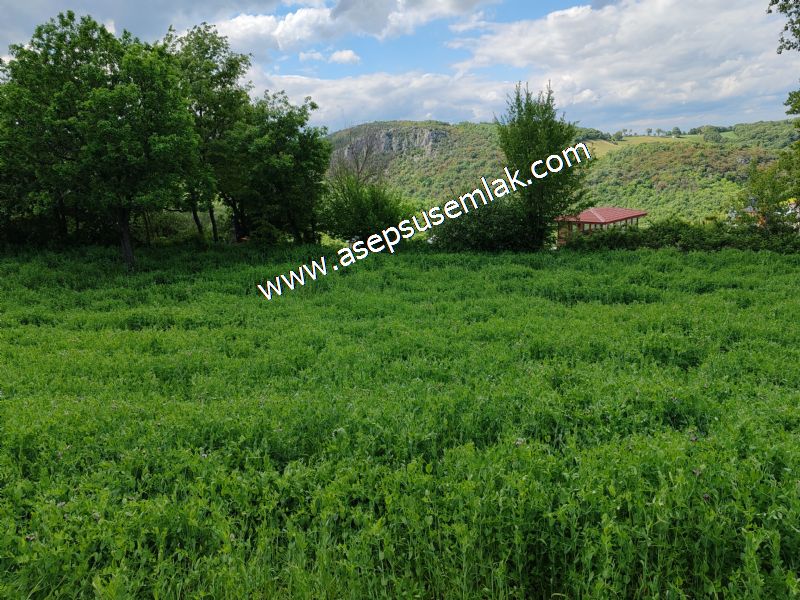 2.100 M2 Yatırımlık Meyva & Hobi Bahçesi Her Tarafı Resmi Yolu