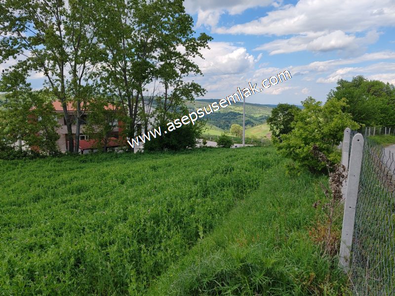 2.100 M2 Yatırımlık Meyva & Hobi Bahçesi Her Tarafı Resmi Yolu