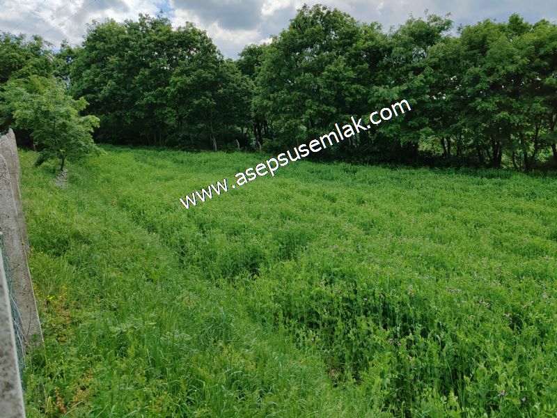 2.100 M2 Yatırımlık Meyva & Hobi Bahçesi Her Tarafı Resmi Yolu