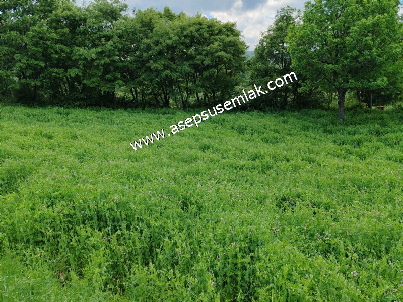 2.100 M2 Yatırımlık Meyva & Hobi Bahçesi Her Tarafı Resmi Yolu