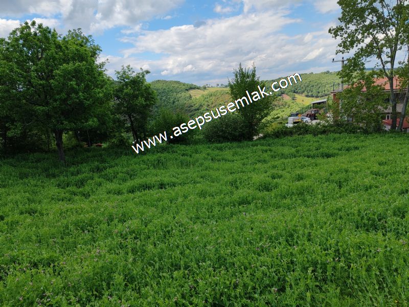 2.100 M2 Yatırımlık Meyva & Hobi Bahçesi Her Tarafı Resmi Yolu