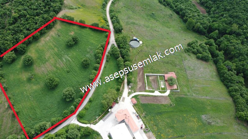 16.020 M2 Hayvancılık, Çiftlik, Meyva & Hobi Bahçesi Resmi Yolu