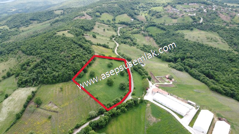 16.020 M2 Hayvancılık, Çiftlik, Meyva & Hobi Bahçesi Resmi Yolu