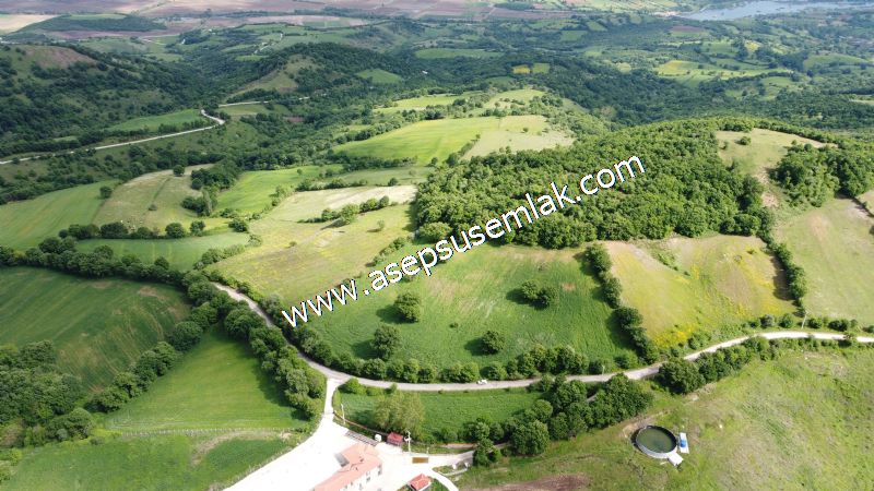 16.020 M2 Hayvancılık, Çiftlik, Meyva & Hobi Bahçesi Resmi Yolu