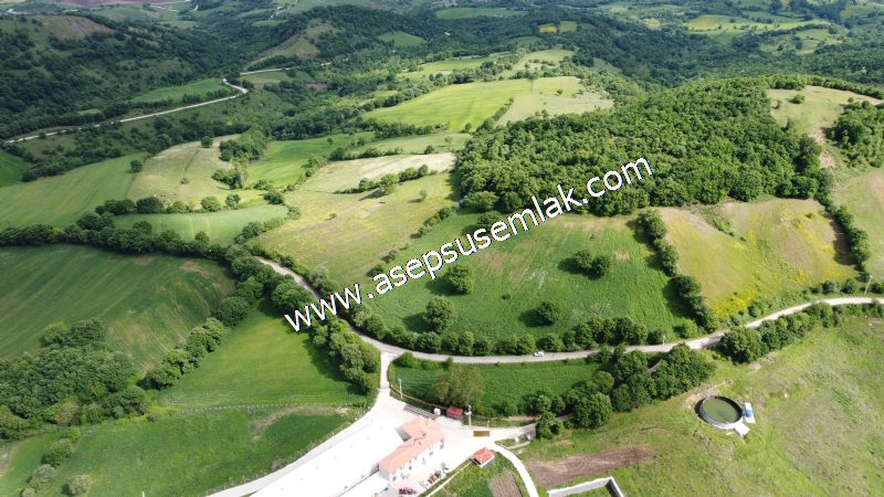 16.020 M2 Hayvancılık, Çiftlik, Meyva & Hobi Bahçesi Resmi Yolu