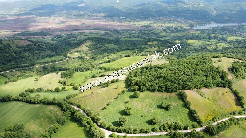 16.020 M2 Hayvancılık, Çiftlik, Meyva & Hobi Bahçesi Resmi Yolu