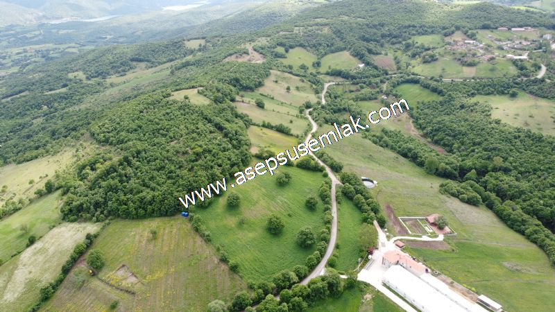 16.020 M2 Hayvancılık, Çiftlik, Meyva & Hobi Bahçesi Resmi Yolu