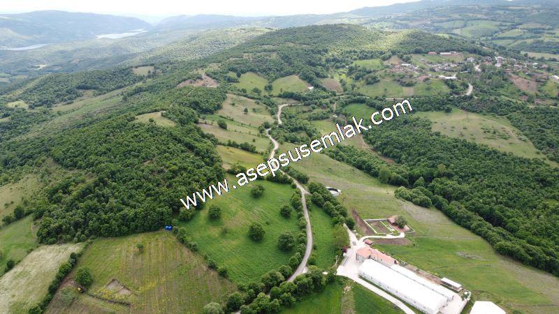 16.020 M2 Hayvancılık, Çiftlik, Meyva & Hobi Bahçesi Resmi Yolu