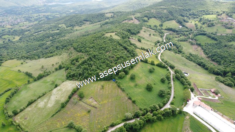 16.020 M2 Hayvancılık, Çiftlik, Meyva & Hobi Bahçesi Resmi Yolu