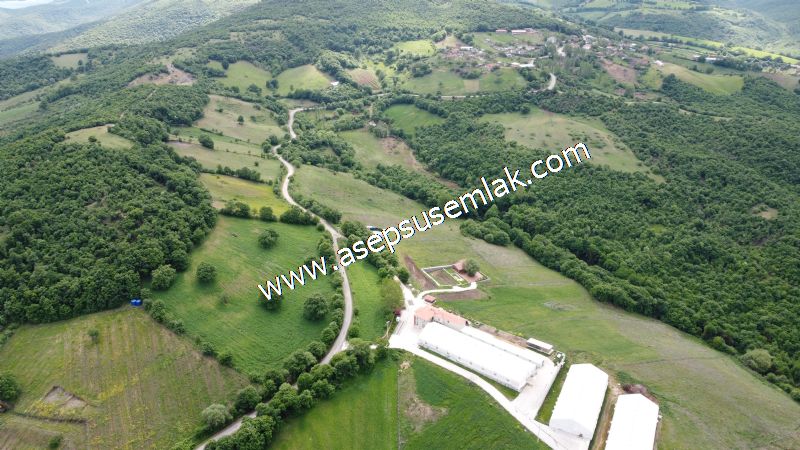16.020 M2 Hayvancılık, Çiftlik, Meyva & Hobi Bahçesi Resmi Yolu