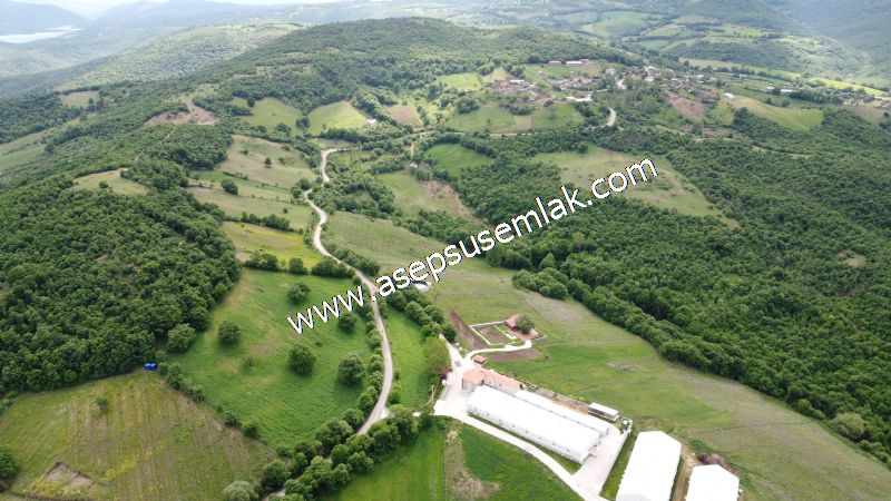 16.020 M2 Hayvancılık, Çiftlik, Meyva & Hobi Bahçesi Resmi Yolu