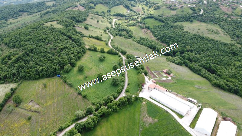 16.020 M2 Hayvancılık, Çiftlik, Meyva & Hobi Bahçesi Resmi Yolu