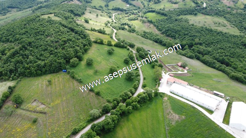 16.020 M2 Hayvancılık, Çiftlik, Meyva & Hobi Bahçesi Resmi Yolu