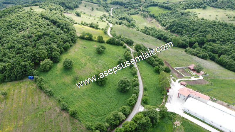 16.020 M2 Hayvancılık, Çiftlik, Meyva & Hobi Bahçesi Resmi Yolu