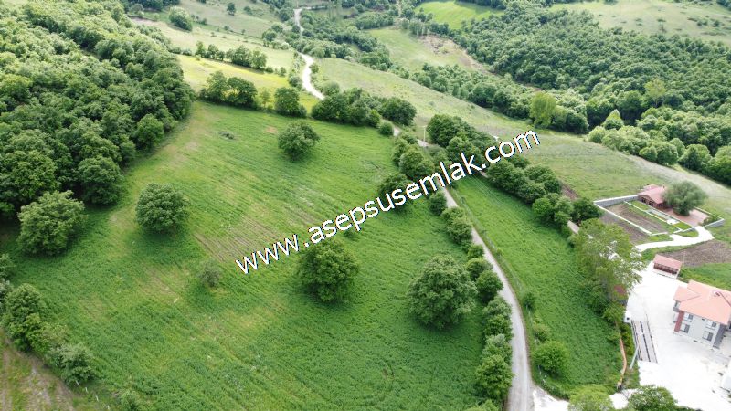 16.020 M2 Hayvancılık, Çiftlik, Meyva & Hobi Bahçesi Resmi Yolu