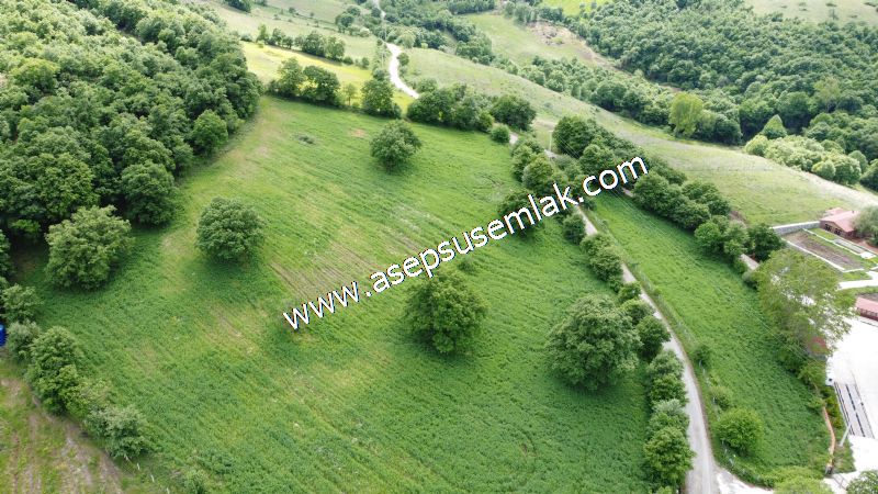16.020 M2 Hayvancılık, Çiftlik, Meyva & Hobi Bahçesi Resmi Yolu