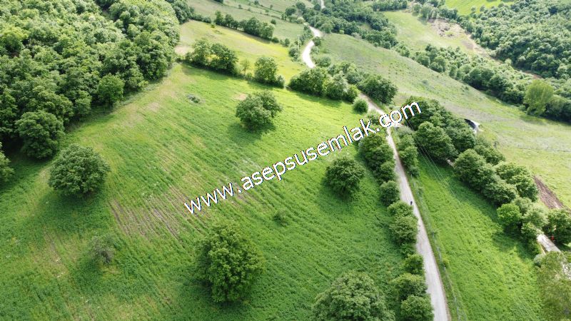 16.020 M2 Hayvancılık, Çiftlik, Meyva & Hobi Bahçesi Resmi Yolu