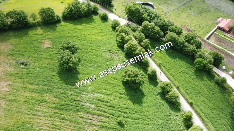 16.020 M2 Hayvancılık, Çiftlik, Meyva & Hobi Bahçesi Resmi Yolu