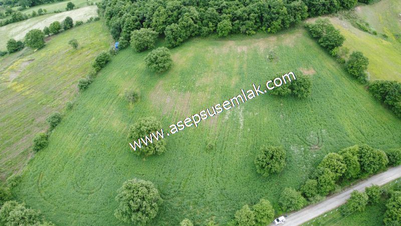 16.020 M2 Hayvancılık, Çiftlik, Meyva & Hobi Bahçesi Resmi Yolu