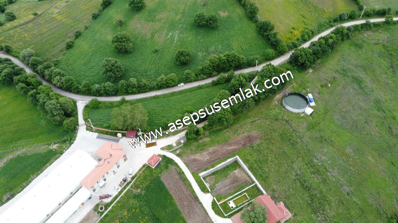 16.020 M2 Hayvancılık, Çiftlik, Meyva & Hobi Bahçesi Resmi Yolu